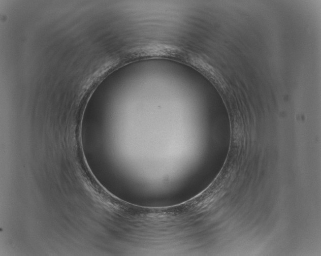 X0000073730394200608171234