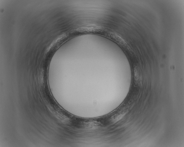 X0000073730396200608171234