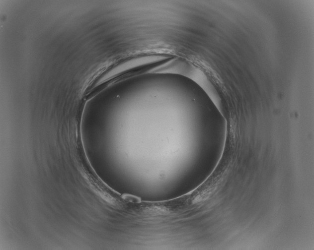 X0000073730397200608171234