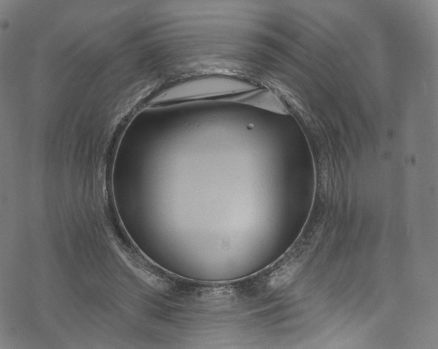 X0000073730398200608171234