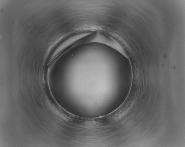 X0000073730399200608171234