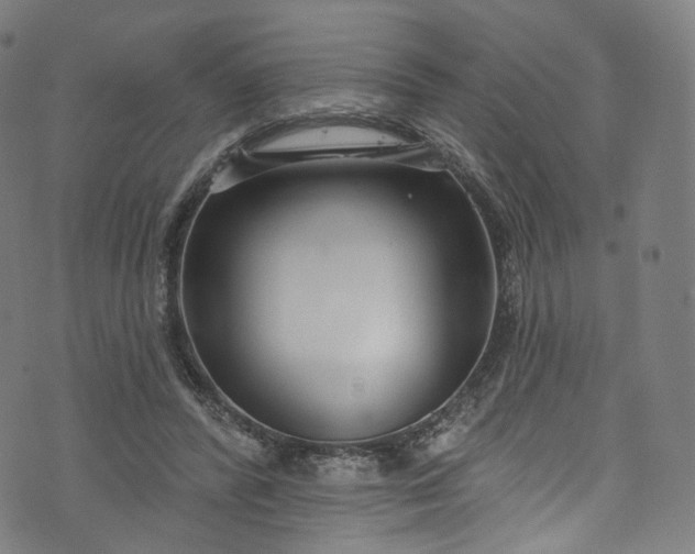 X0000073730400200608171234