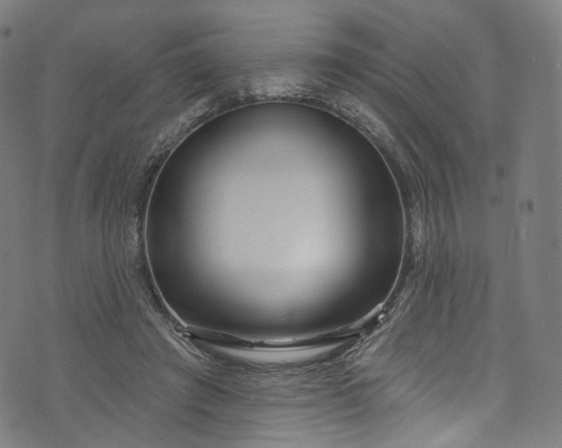 X0000073730401200608171234