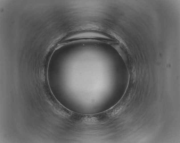 X0000073730403200608171234