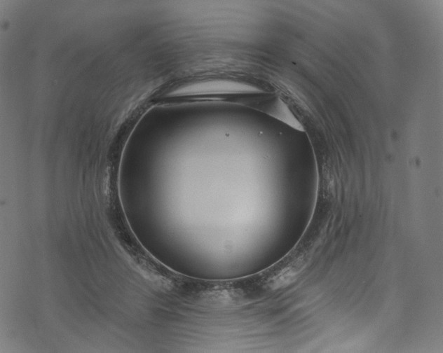 X0000073730404200608171234