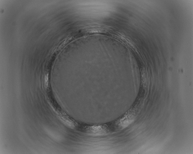 X0000073730406200608171234