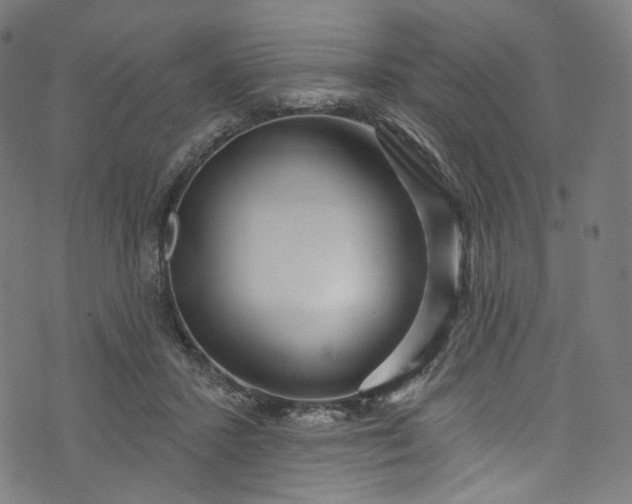 X0000073730407200608171234