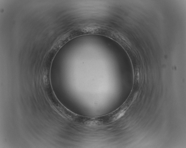 X0000073730408200608171234