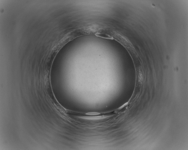 X0000073730409200608171234