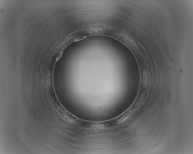 X0000073730413200608171234