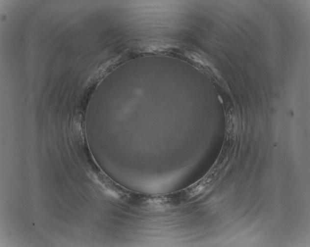 X0000073730415200608171234