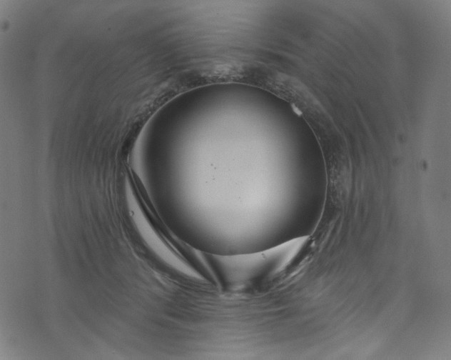 X0000073730416200608171234