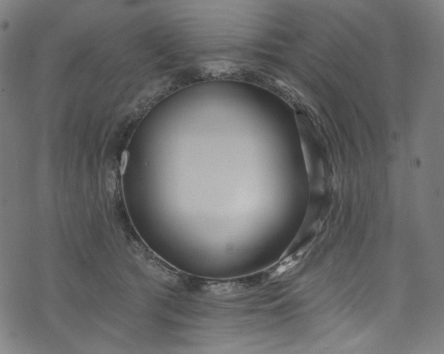 X0000073730417200608171234