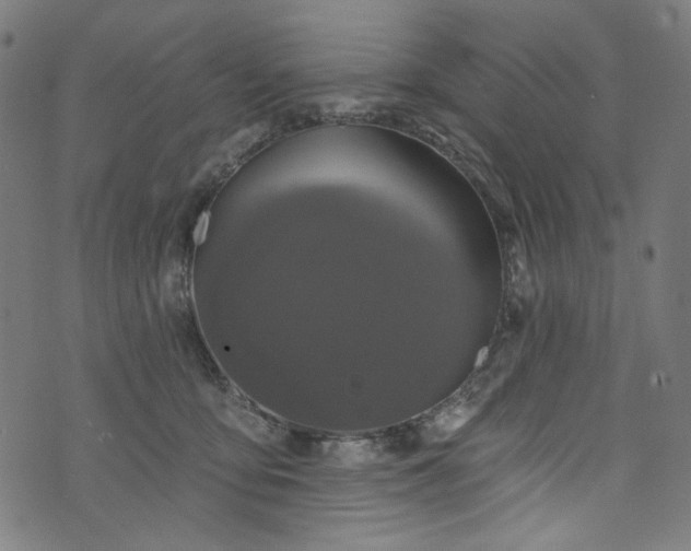 X0000073730419200608171233