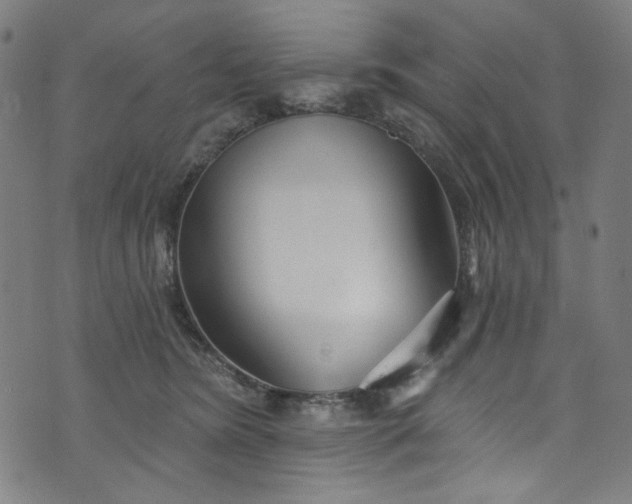 X0000073730420200608171233