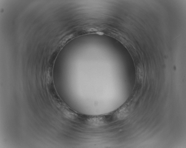 X0000073730422200608171233