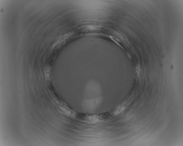 X0000073730423200608171233