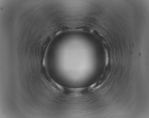 X0000073730424200608171233