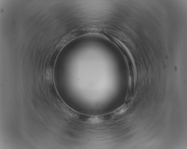 X0000073730425200608171233