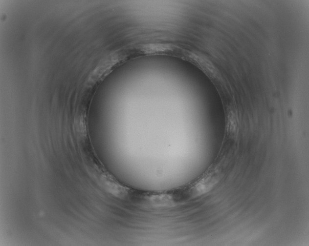 X0000073730426200608171233