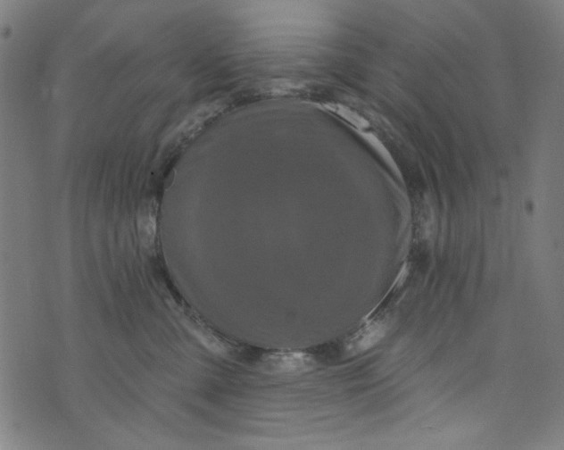 X0000073730427200608171233