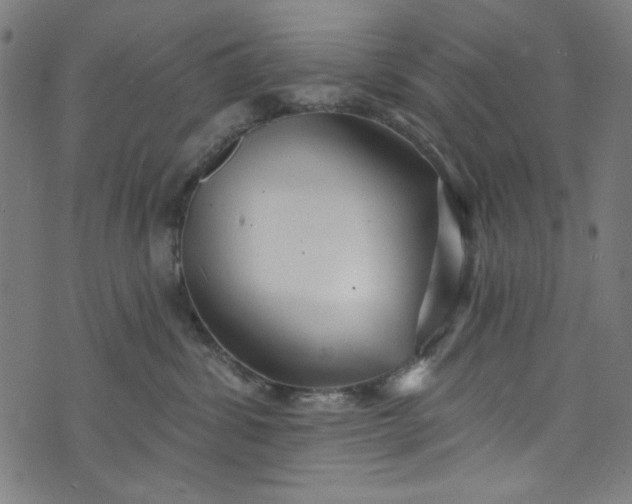 X0000073730428200608171233