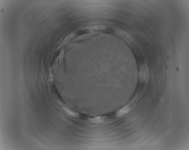 X0000073730430200608171233