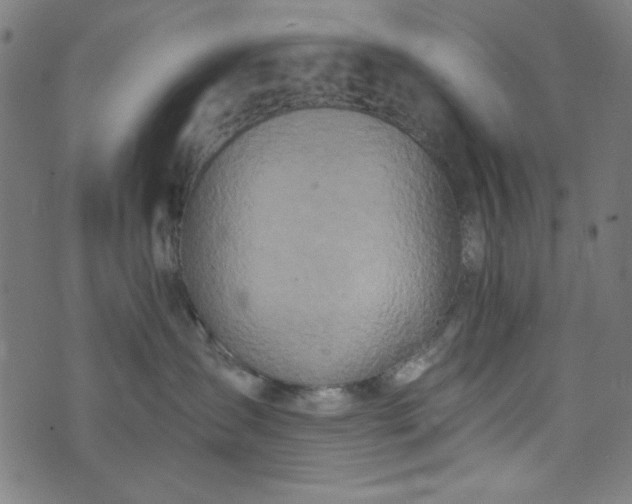 X0000073730431200608171233