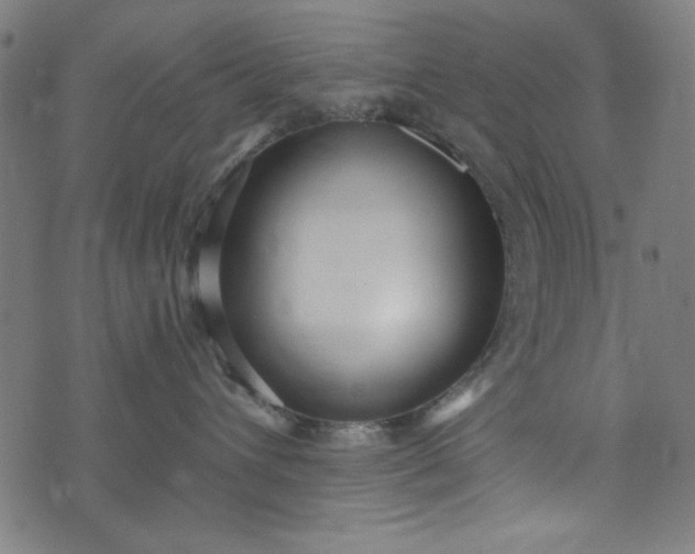 X0000073730432200608171233