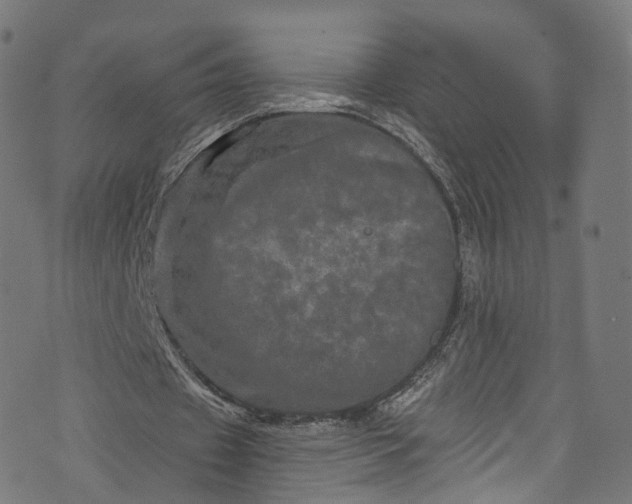 X0000073730433200608171232