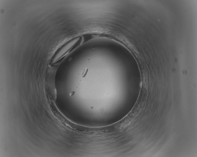 X0000073730434200608171232