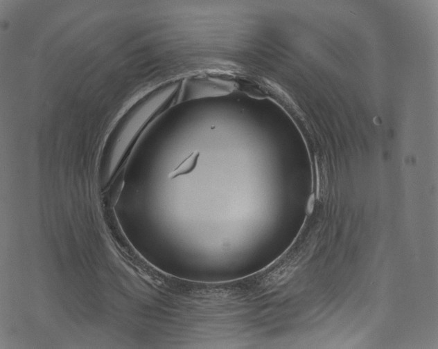 X0000073730435200608171233