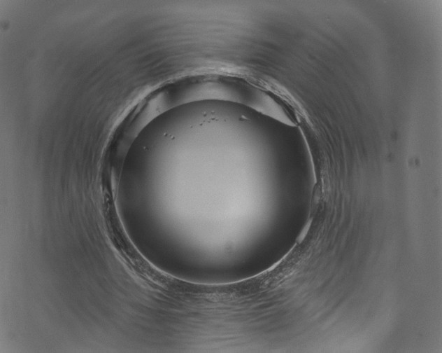 X0000073730436200608171233