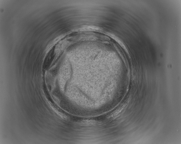 X0000073730437200608171233