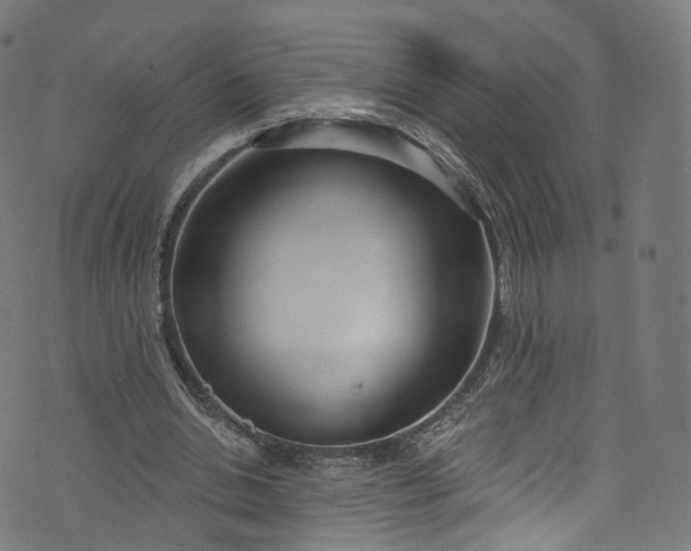 X0000073730438200608171233