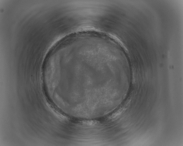 X0000073730439200608171233