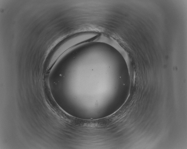 X0000073730440200608171233