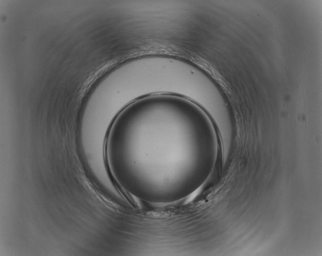 X0000073730442200608171233