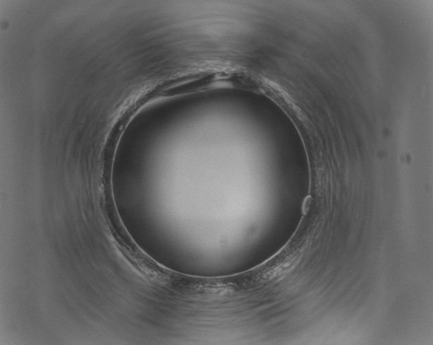 X0000073730443200608171233