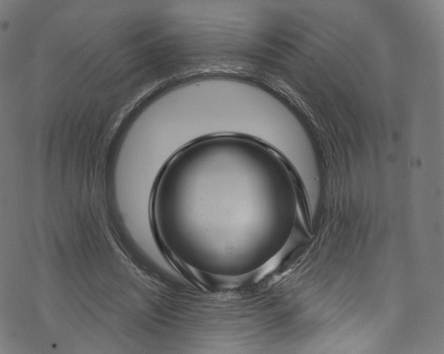 X0000073730444200608171233