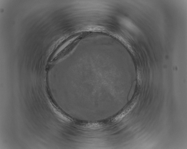 X0000073730445200608171233