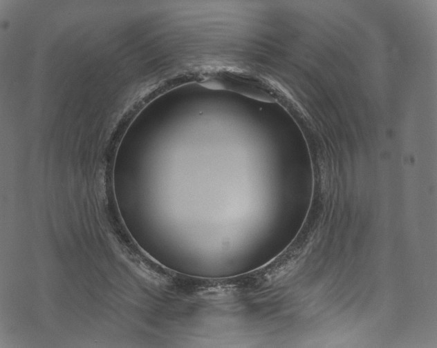 X0000073730447200608171233