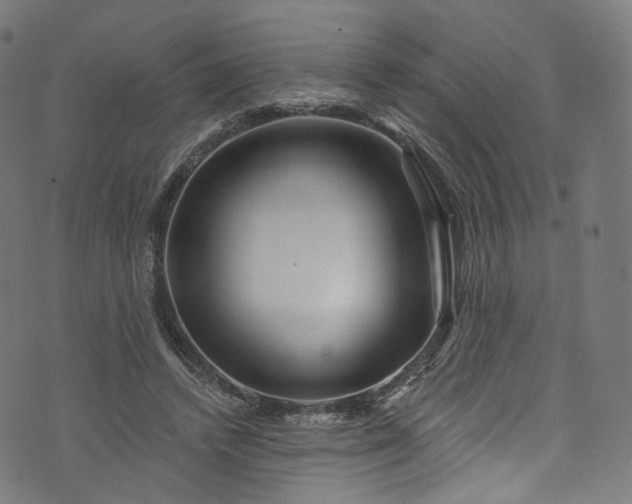 X0000073730448200608171233