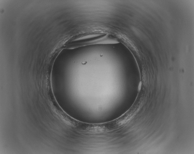 X0000073730449200608171233