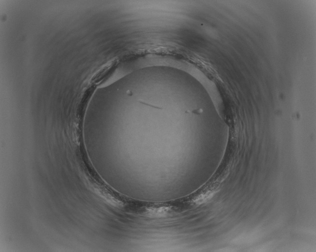 X0000073730450200608171233