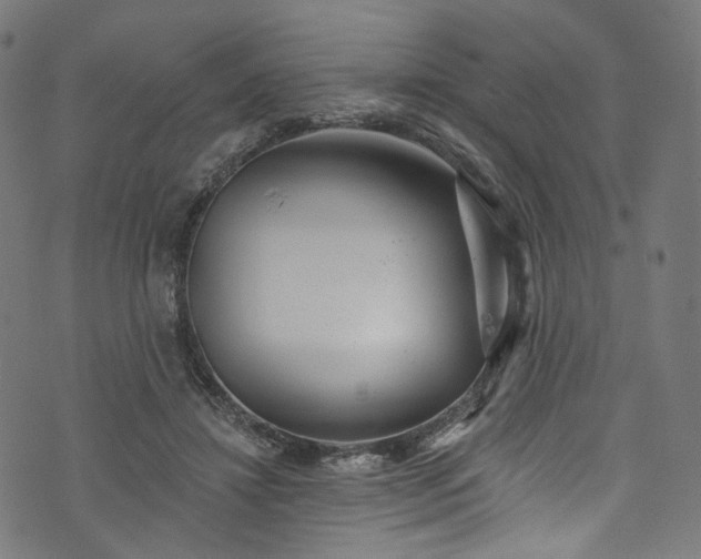 X0000073730452200608171233