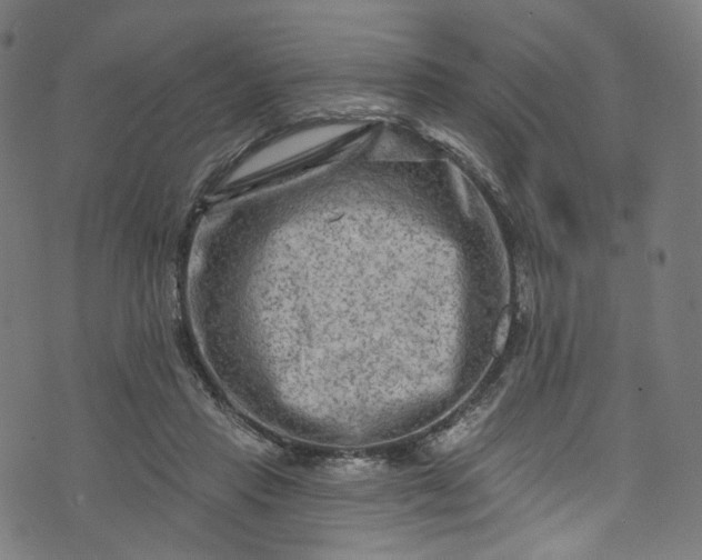 X0000073730453200608171233