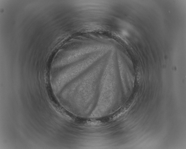 X0000073730455200608171233