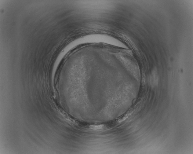 X0000073730457200608171233