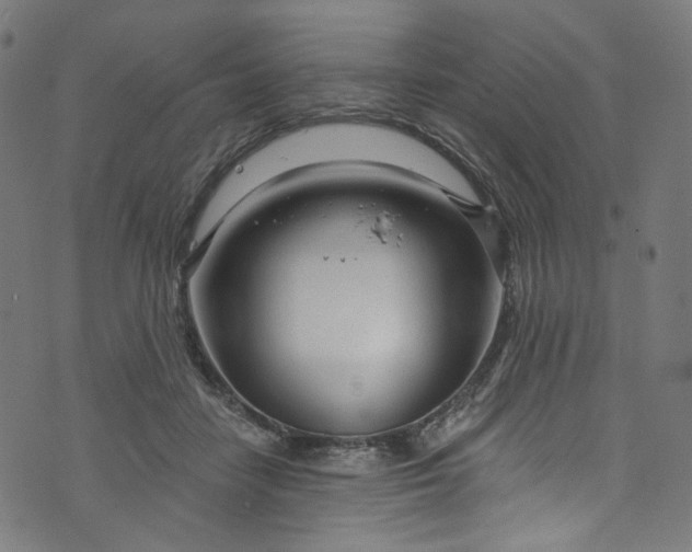 X0000073730458200608171233